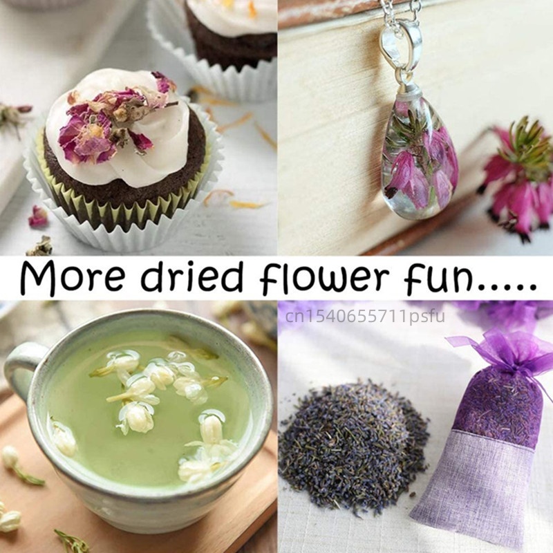 Natürliche getrocknete He Shou – Potpourri Dried Flower Bewertung und Preis