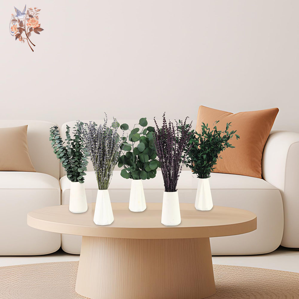110 Stück Mix getrocknete Euka – Home Fragrance Fillers Bewertung und Preis