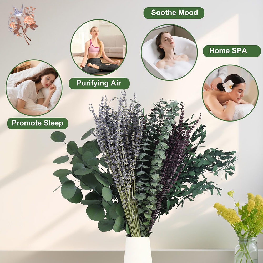 110 Stück Mix getrocknete Euka – Home Fragrance Fillers Bewertung und Preis