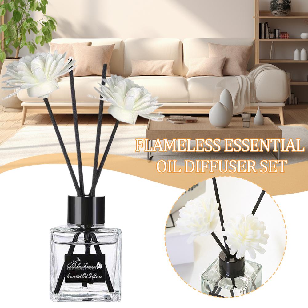 50ml Aroma-Diffusor-Öl für Zuh – Home Fragrance Collection Bewertung und Preis